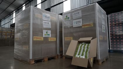 El embarque con los saquitos de yerba mate que partirán a Polonia