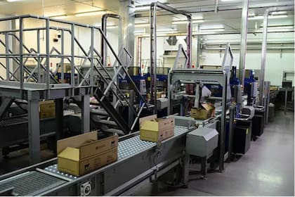 El empaquetado para la exportación en el frigorífico medelo en Burzaco