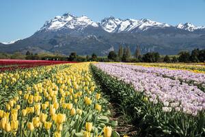 El emprendimiento comenzó en 2000 en la chacra familiar ubicada en las afueras de la localidad de Trevelin