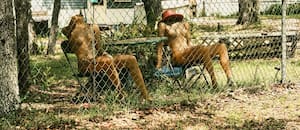 El padre les dejó como herencia un barrio cerrado nudista y ahora no saben qué hacer