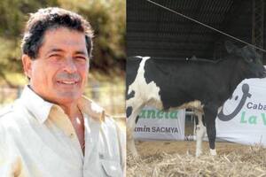 El empresario Sergio Lifschitz se enamoró de la actividad tambera, gracias a los resultados que tuvo su proyecto genómico