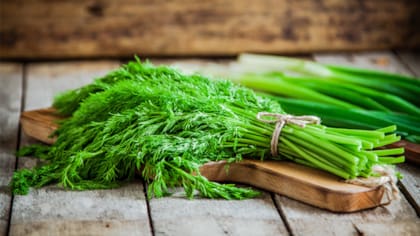 El eneldo es utilizado en muchos platos de la gastronomía