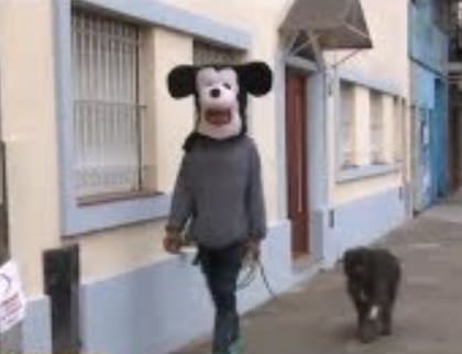 El enigma de Claudia Ferro, la animadora de fiestas infantiles desaparecida, y de los sospechosos que vivían en su casa de Villa Luro y se ocultaban tras una máscara de Mickey