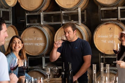 El enólogo Pablo Martorell tiene la responsabilidad de guiar a los doscientos propietarios en la producción de sus vinos. Y muchos tienen más de una etiqueta. Hoy hacen más de 300 vinos diferentes.