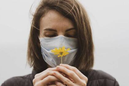 El enriquecimiento olfativo mejora la memoria en adultos mayores hasta en un 226% (imagen ilustrativa)