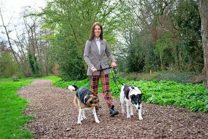 El ensayo de Meijer ha sido publicado en la Argentina