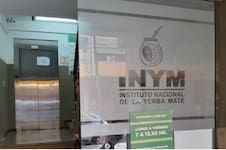 Motosierra en el Instituto de la Yerba: echaron al 25% del personal