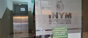 Echaron al 25% del personal