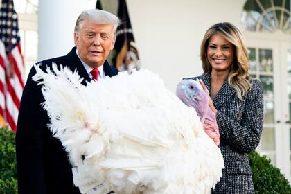 El entonces presidente Donald Trump, acompañado por la primera dama Melania Trump, indulta al pavo Corn en el Jardín de las Rosas de la Casa Blanca el 24 de noviembre de 2020.