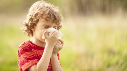 El entorno fue estudiado como un posible factor para entender porque se tiene -o no- alergias 