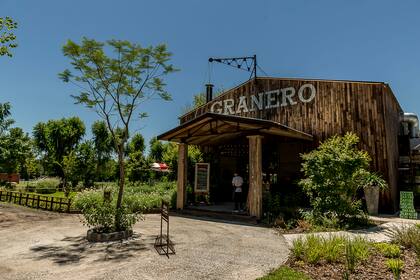 El entorno natural y agreste condicionó la idea de la decoración interior