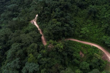 El entorno selvático del Parque Nacional Calilegua