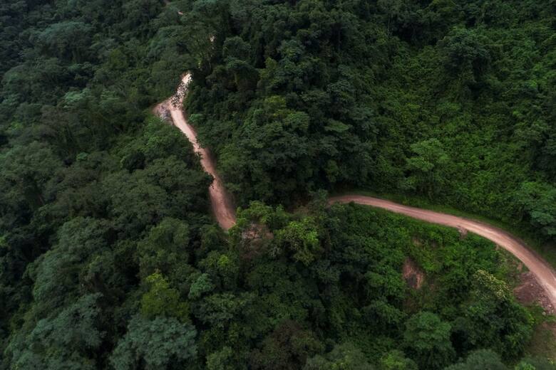 el-entorno-selvatico-del-parque-nacional-I6SNZDPNUFDQJJ3YVQYHYUU2QE