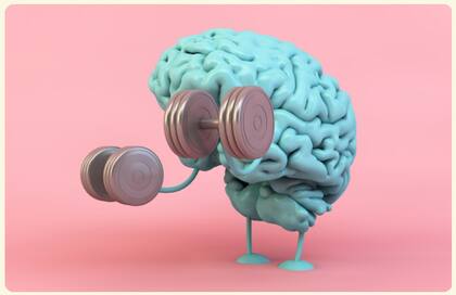 El entrenamiento del cerebro es clave para que nuestra memoria esté activa