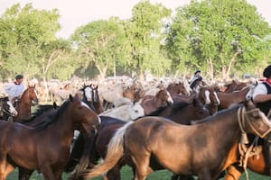 San Antonio de Areco celebra los 100 años de Don Segundo Sombra