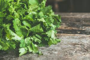 El epazote es una hierba popular en México que tiene múltiples beneficios