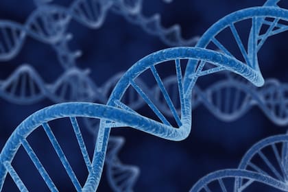 El epigenoma puede considerarse como la parte en que se tachan o subrayan elementos en el plano del genoma humano
