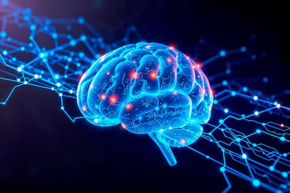 El equilibrio excitación-inhibición cerebral, la clave detrás de las personas más inteligentes