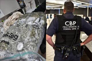 Venía de California con una carga ilegal y fue detenido por la CBP al querer volar a Europa desde Atlanta