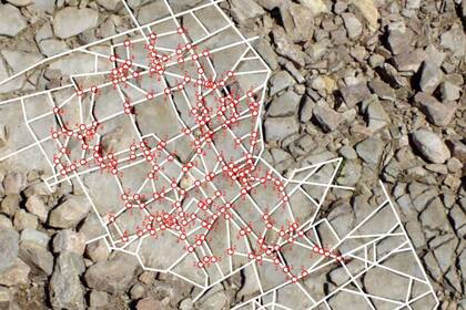 El equipo analizó rocas y piedras de todo tipo buscando la forma prevalente