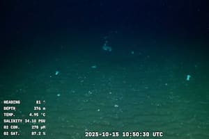 El equipo científico investiga la interacción entre corrientes y cañones submarinos en el Frente del Quiebre de Plataforma