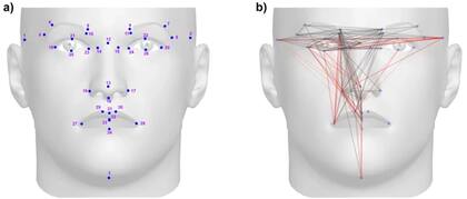 El equipo de CANDELA analizó los rostros de los voluntarios a través de puntos anatómicos, que representan lugares del ADN, y las distancias entre ellos. (Imagen publicada en Automatic landmarking identifies new loci associated with face morphology and implicates Neanderthal introgression in human nasal shape)