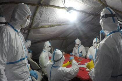 El equipo de Epstein encontró el origen del ébola en África