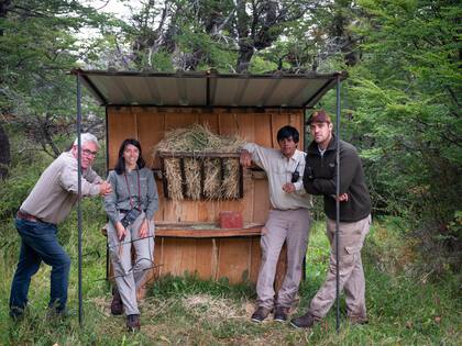El equipo de Fundación Temaikèn y Fundación Shoonem: Miguel Escobar, Natalia Demergassi, Fabián Jaramillo y Lucas Thomas.