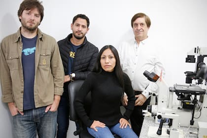 El equipo de la Facultad de Agronomía de la UBA que está preparando la clonación: Adrián De Stéfano, Matteo Duque, Minerva Yauri Felipe y Daniel Salamone