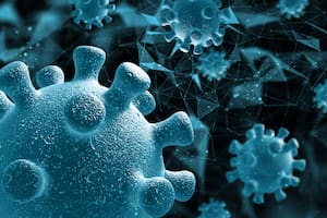 El desarrollo argentino que usa el virus del resfrío para atacar el cáncer colorrectal