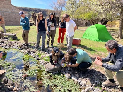 El equipo de la Fundación Somuncura en el arroyo Valcheta haciendo muestreos