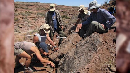 El equipo de paleontólogos bautizó al dinosaurio como Sidersaura marae