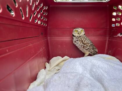 El equipo de rescate solo contaba con una hora para realizar las maniobras antes de que el barco fuera abordado por nuevos pasajeros