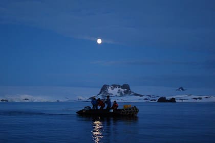 El equipo de trabajo del Grupo Ictiología Insituto Antártico Argentino