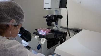 El equipo del Laboratorio de Virología Aplicada de la Universidad Federal de Santa Catarina (UFSC) están analizando unas 150 muestras de agua de playa y ríos y de pacientes