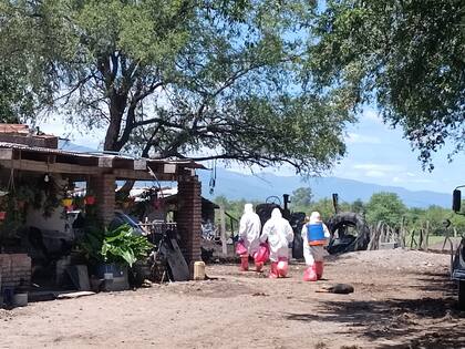El equipo del Senasa mientras realiza las tareas en una granja de traspatio