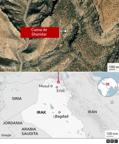 El equipo está bastante seguro de que "es una mujer"