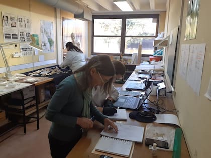El equipo que estuvo al frente del hallazgo está conformado Julieta Gómez Otero, Ariadna Svoboda, Anahí Banegas, Ana Gabriela Millán y Hernán Ariel Marani