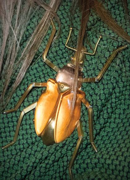 El escarabajo, en detalle.
