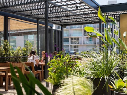 El espacio abierto de Mess tiene vista a la huerta