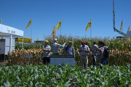 El espacio de Nidera para sus novedades