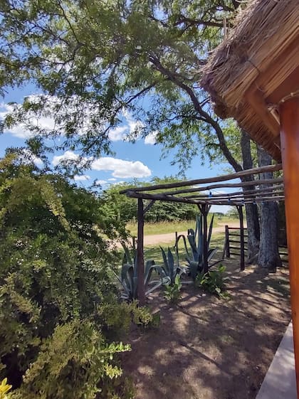 El espacio está en medio del campo