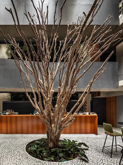 El espacio proyectado por el reconocido arquitecto Angelo Bucci en tres plantas