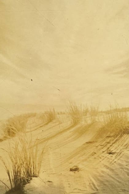 El espartillo fue fundamental para poder fijar los médanos