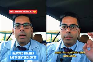 El especialista de Harvard explica que los probióticos alivian la hinchazón, el estreñimiento y coadyuvan a la mejora de otros problemas digestivos (Canva-YouTube)
