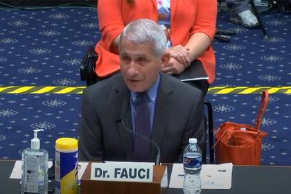 El especialista Fauci habló en el Congreso de Estados Unidos sobre el desarrollo de una vacuna contra el Covid-19