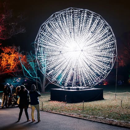 El espectáculo de luces Lightscape tiene nuevas y suntuosas instalaciones de arte de luz ideales para las selfis navideñas