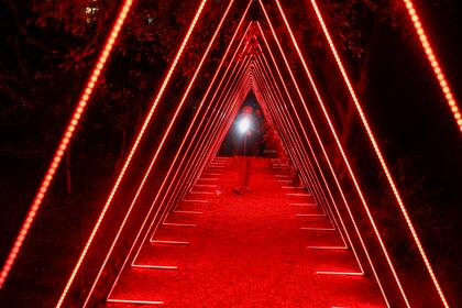 El espectáculo lumínico se realiza por la noche en el Jardín Botánico hasta fin de mes