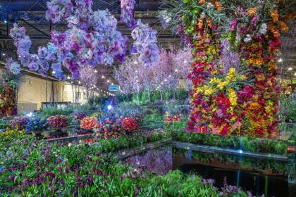 El espectáculo también tendrá su lado nocturno con “Flores Fuera del Horario Laboral”, una serie de eventos especiales que invitan a recorrer las exhibiciones en un ambiente más relajado y festivo. Foto: visitphilly.