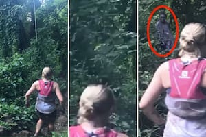 El "espectro" que se le apareció en el bosque
